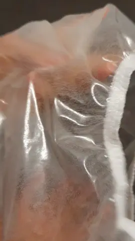 pure plastic pants sound