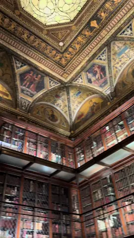 Look at this ✨                                                                                 #fypシ゚viral #library #museum #themorganlibrary #themorganlibraryandmuseum #newyorkcity #manhattan #views #architecture #beauty #thingstodoinnyc 