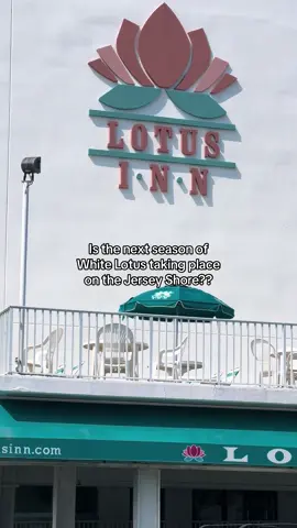 👀 #foryou #fypage #funny #whitelotus #hulu #tvshow #jerseyshore #jersey #renaissance 