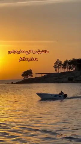 👑 معليش يا قلبي 👑  . #شتوان #محمد_شتوان #محمد_شتوان_ماعليش_ياقلبي_شدة_وتزول #chetouane #mohamed_chetouane #amarezzahi #عمار_الزاهي #دحمان_الحراشي #العنقى #اعميمر #تيكتوك #tiktok #chaabi #chaabiste #الحوزي_الجزائري #المالوف_القسنطيني #المالوف_العنابي #الاندلس #الشعبي #الشعبي_الجزائري #musiquealgerienne #bourdib #gerouabi #الشعر_الملحون_و_الكلام_الموزون #الشعب_الصيني_ماله_حل😂😂 #الجزائر🇩🇿 #foryou #fyp 