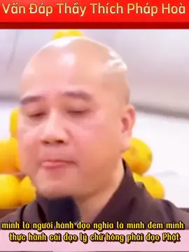 mình là người hành đạo nghĩa là mình đem mình thực hành cái đạo lý chứ hông phải đạo Phật(nghe mà thấm quá)#thichphaphoa#thaythichphaphoa#thichphaphoaphapthoai#xuhuongtiktok#capcut 