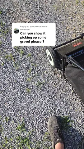 Replying to @saucereceived dont have the lawn Sweeper lowered all the way down or it would pick up more. #lawnsweeper #lawn #sweeper #lawncare #lawnmaintenance #vevor 