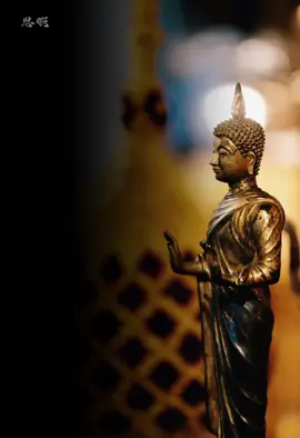 ##phatphapnhiemmau #vairal #xuhuong #fyp 