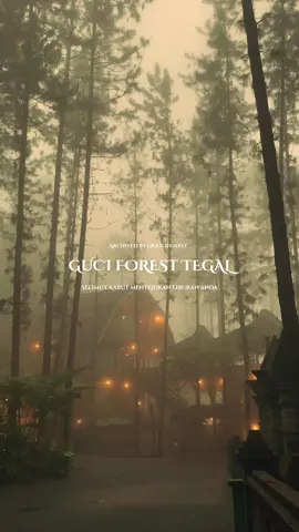 Menikmati keindahan Guci Forest dalam balutan kabut yang menyejukkan liburan anda🌲✨ Siapa yang mau ikut merasakan kabut di @guciforest_ ??? 😁😁 . yyukk ke @guciforest_  . . . . . . HTM Guci Forest 28rb/org Penginapan Villa, Glamping & Camping untuk Pricelist bisa DM ke IG kami yah kak. . . . #naturelovers #guciforest  #outbondguci #glampinggucitegal #villaguci #villaguciforest #gucitegal #wisatajateng #wisatategal #infotegal #tegalhits #wisata #hutanpinus #airpanasguci #infopemalang #kabut  #LiburanSejuk #exploreindonesia 