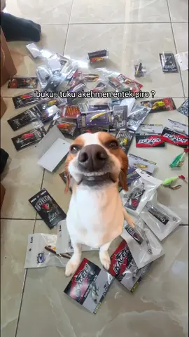 bonusan tok og ma #CapCut #klaten #storymancing #casting #mancingmania #hampala #gabus #casting #castingfishing🎣 #hampalabalap #fyp #yxhxnxssjp #yxhxnxs #streamgank 