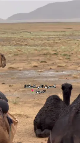 #explore #viral #foryou #اكسبلور #هشتاق #اكسبلور_تيك_توك #ترند #مالي_خلق_احط_هاشتاقات 