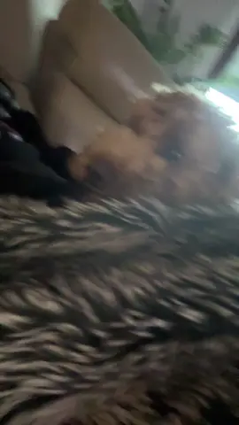 lewie here like 👀 