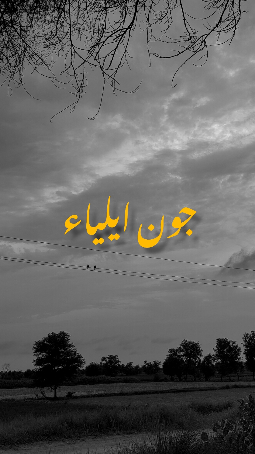 Jaun Elia 🥀 ✨ | follow for more |  Hashtags: #jaunelia #urdupoetry #timelesspoetry #classicpoetry #urduadab #pakistanipoetry #literarygenius #instapoetry #poetrycommunity #urduquotes #reellove 