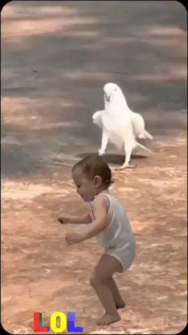 video funny #funny 