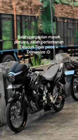 Zixixi 😬😬 #fyp #tigermodifikasiblitar #pecegank #jamaahpece 