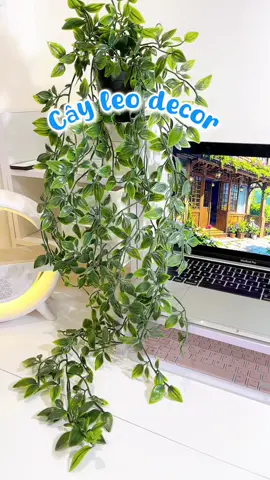 Decor xinh lắm nha #xuhuong #thinhhanh #hottrend #viral #hottiktok #viralvideo #decor 