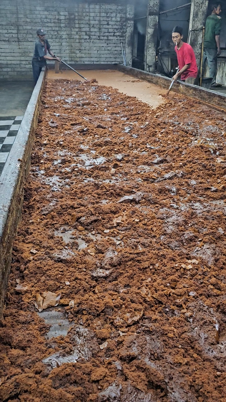 gula merah indonesia gula merah kediri #industrigulamerah  #gulaaren  #pembuatangulamerah 