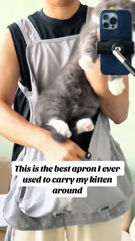 #cats #cutecat #catlover #catmom #meow #cattok #kittens #kitty #foryou 