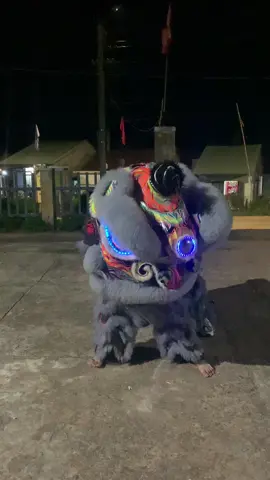 Lân xóm tập múa trc 1 tháng #lân_sư_rồng_niềm_đam_mê_bất_tận #xuhuongtiktok #trungthu2024 