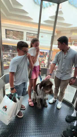 The Dog Kept Looking Around #prank #viral #fyp #fartspray #fartsprayprank
