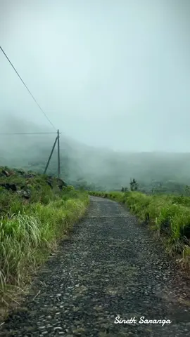 සූරියකන්ද 🇱🇰 𝒩𝒶𝓉𝓊𝓇ℯ 𝒾𝓈 𝒶𝓃ℴ𝓉𝒽ℯ𝓇 𝓂ℯ𝒹𝒾𝓉𝒶𝓉𝒾ℴ𝓃 𝓉ℴ 𝓀ℯℯ𝓅 𝓎ℴ𝓊𝓇 𝓂𝒾𝓃𝒹 𝓈𝓉𝓇ℴ𝓃𝑔.... 🌿🍃 #suriyakanda #srilanka #traveltiktok #beautifuldestinations #onebillionaudition #india #viral #VisiitSriLanka #fyp #calm #trending #foryoupage #Nature #sinethsaranga 
