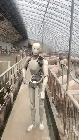 #robots #newtrend #foryou #viral @Tiger @TikTok 