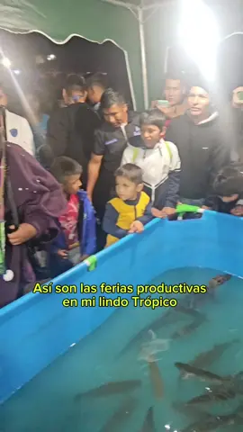 #feriasproductivas #Trópico 