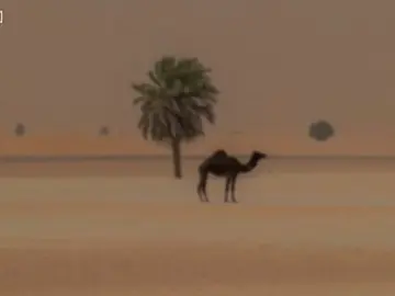 تلاوه خاشعه من سوره الرعد للقارئ فايح الحارثي رحمه الله تعالى #حَسان #القران_الكريم #فايح_الحارثي #تلاوات_خاشعة #مشاهدات #foryoupage #capcut #fyp #explore #viral #الرقة_دير_الزور_الفرات_الحسكة 