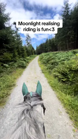forest trip for Moonlight..full video to come soon🥰🫶🏼 #equestrian #horsetok #equine #horsegirl #horsesoftiktok #equestrianvibes #equestrianlife #horseriding #horsetiktok #fyp 