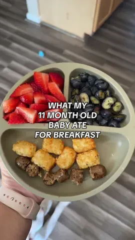 He ate pretty much everything, and thennn still ate some more off of my plate!! He also gave some of his food to the dog 😂😂 #whatmybabyeats #babybreakfast #babybreakfastideas #blw #babyledweaning #babyledweaningideas #babyledfeeding #veganbaby #veganbabyfood #firsttimemom #sahm #sahmlife #sahmsoftiktok #momlife #MomsofTikTok #eatingsolids #veganmeals #veganmealideas #11monthold #babyboy #dairyfree #eggfree 