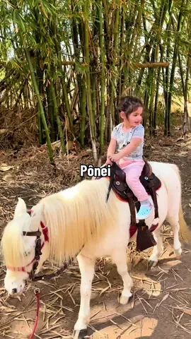 Passeio de pônei  . . . . . . . #ponei #cavalo #cavalos #bebe #passeio 