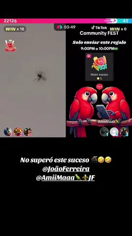 El moscoooo DEP 🦟😭  Oigan pero que punteria la de João 👀🤣🤣 #JoãoFerreira #mosco #tiktok #live #brasil🇧🇷 #joãoferreira #influencer #communityfest #ifest #communityguidelines #paratipage #explore #paratii #fypシ゚viral #fy #viral #viraltiktok #teamloros @Sandz @AmiiMaaa🦜⚜️JF @João Ferreira 🦜✨