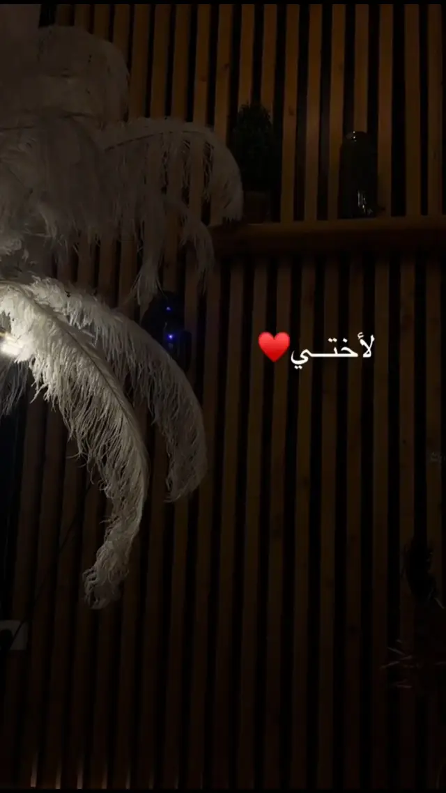 #اختي_حبيت_قلبي #منشن_للي_تحبه #منشنوهم #اكسبلورexplore 