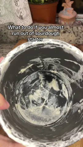 How to grow back your sourdough starter from almost nothing #sourdough #sourdoughtok #sourdoughstarter #sourdoughtiktok #sourdoughforbeginners #sourdoughclub #sourdoughasmr #sourdoughstarters 