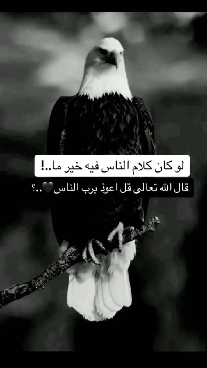 #عبارات_قصيرة_ذات_معنى_عظيـم 