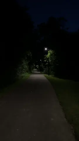 Real #aesthetic #night #real #poisontree 