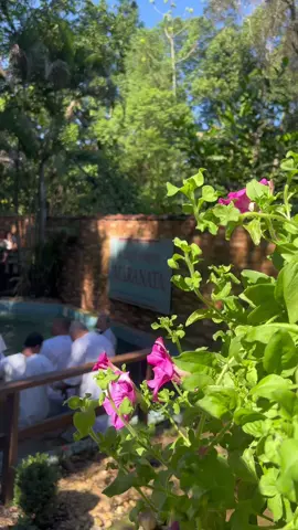Dia Lindo de Batismo Nas Águas! 🥰🙏🏻