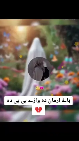 💔😭💔😭ہاۓ ارمان دہ واڑے بی بی دہ 🙏🏼😞@👑Naveed Haider🌺 @☠️ SANO BHAI ☠️ @payal 2030 @Awais Haider 