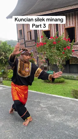 Part 3 sanak, tarimokasi alah suport 🤝#fyp2024 #silek #silatharimauminangkabau #silekminang #fyppppppppppppppppppppppp #minangtiktok #sumbar#indonesia 