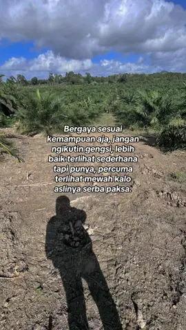 #CapCut #fyp #sawitontiktok #petanimuda #petanisukses #beranda 