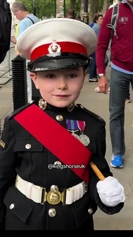Adorable Frank Dressed in Navy Uniform  #fyp #foryou #viral #foryoupage #kingsguard #horse #london 
