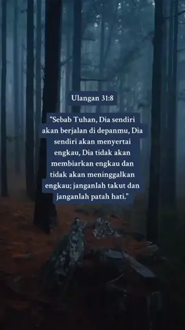 Ulangan 31:8 #ayatalkitabkristen #ayatalkitab #fypkristen #motivasikristen #inspirasikristen #renunganhariankristen #ayatalkitabhariini 