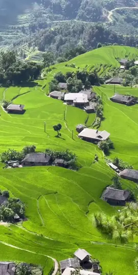 Hà Giang ơi sao mà yêu thế! #canhdep #hagiang #nhac #nhachaymoingay #vanquang #xuhuongtiktok 