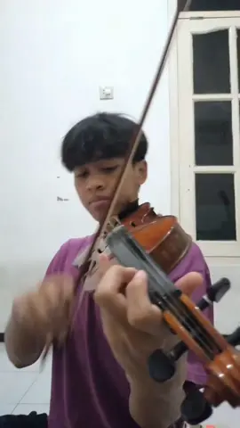 Homelender theme #homelender #violin #violincover #violinist #violinista #meme #memes #fyp #fypシ #fory 