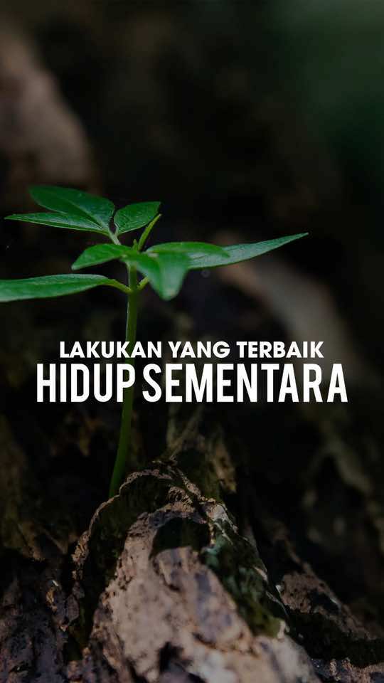 Hidup hanya sementara! ⁣ ⁣ ⁣ ⁣ ⁣ ⁣ ⁣ ⁣ ⁣ _⁣⁣⁣⁣⁣⁣ #affirmation #lawofattraction #consciousness #manifest #positiveaffirmations #quote #Love #positivity #positive #marriage #fashion #Love #wife #training #family #health #husband #law #inspiration #justice #selflove #dream #life #fyp #fy #trending #wisdom #success #goals #motivation
