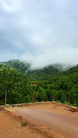 Repost if u love My Homeland view ❤️ #tirahvalley #explore #foryoupage #fyp #naturevibes #mountains #heaven #tirahbeautyview #viralvideo #shahab_afridi313 