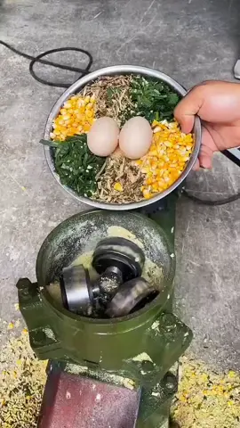 #pelletmachine #animalfeeding #granulator #haycutter #farmer #chickenfeeding #cow #duckfeeding #fish #rabbit #pellet #fyppppppppppppppppppppppp 