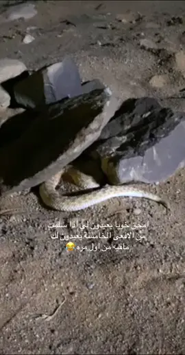 #مقناص_الصيد #ترند #اكسبلور #مالي_خلق_احط_هاشتاقات #ترند #كومنت #حايل #ههههه 