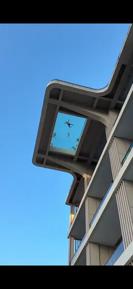 #funny #funnyvideos #meme 