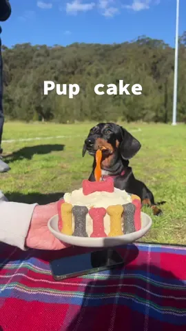 A cute lil pup cake for my dogs 3rd birthday 💕 #baking #Recipe #dog 