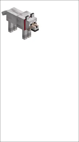 #Minecraft #CapCut #meme #shitposting #memeshitpost #foryou #mobs #animais #papagaio 