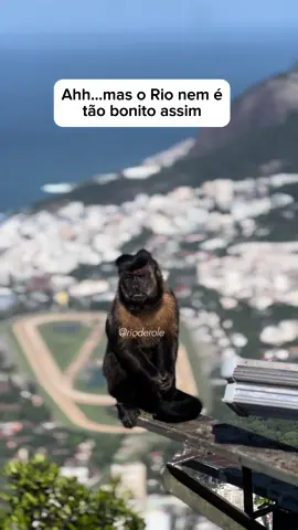 Seria o Rio a cidade mais linda do mundo?  Maravilhosa é apelido 🤍😍 🌐📲 RJ - 021 🎥 @gui_padilha  Mais amor, por favor 💙 Preserve a natureza ♻️   #riodejaneiro #rj #brazil #rio #brasil #021 #beautifuldestinations #trip #doyoutravel #beach #cidademaravilhosa #wonderful_places #amazingplaces #travelblogger #viajarfazbem #destinosimperdiveis  #fantastic_earth 