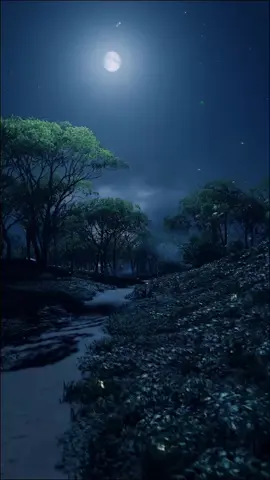 leisurely walk at night.  what do u think?  #fyp  #foryou  #foryoupage  #night  #scenery  #moonknight 