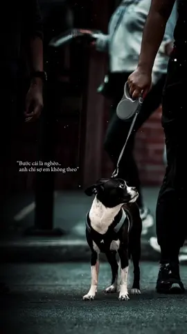 Rap cổ chất :))                                          #arismusic #lunyentertainment #haithegioi #karik #wowy 