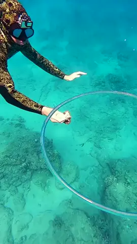 Octopus are highly intelligent and I’m confident that it knows that this is fun (ig: shangerdanger)